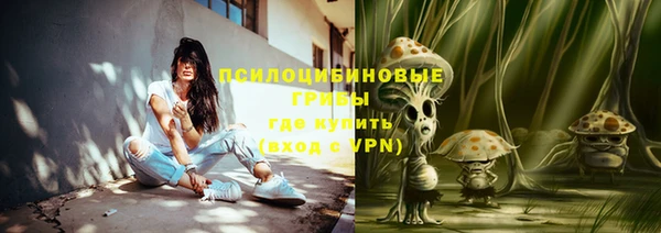 apvp Ростов