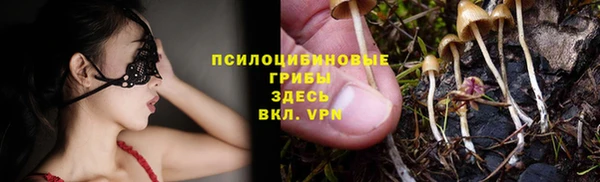 apvp Ростов