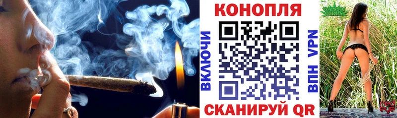 Бошки Шишки планчик Южно-Сухокумск